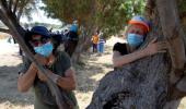 In Israel, people hugging trees to beat Covid-19 blues