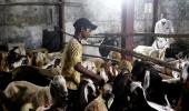 Reconsider relaxations for Bakri-Eid: IMA to Kerala