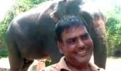 Bihar man wills half of his property to 2 elephants