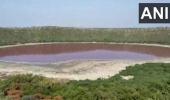 Maharashtra's Lonar lake turns pink; experts surprised