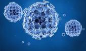 Sunlight, heat and humidity weakens coronavirus: US