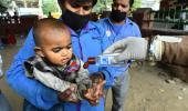 649 coronavirus cases in India, 13 deaths