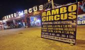 For struggling circuses, Covid-19 comes as final blow