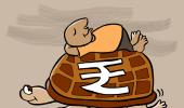 How a tortoise made due diligence process NPA-free