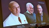 Nobel for Medicine goes to Hepatitis C discovery