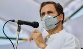 Rahul Gandhi tests positive for COVID-19