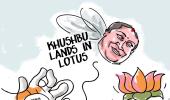 Dom's Take: Khushbu in Lotusland