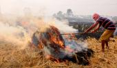 18% of Delhi's air pollution due to stubble burning