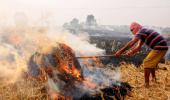 SC constitutes committee to monitor stubble burning