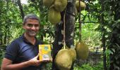 From Microsoft to Jackfruit 365!