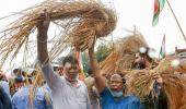 32 ex-civil servants support farm sector laws