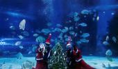 What is Santa Doing Under Water?