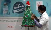 An Xmas Tree Of Covid Vaccines