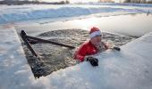 Why Are They Swimming In Icy Cold Waters?