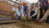 Farmers plant flowers in response to 'iron nails'