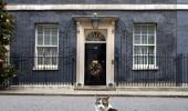 UK's chief mouser marks 10 yrs at 10 Downing Street