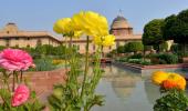 PIX: Buds are blooming at Rashtrapati Bhavan