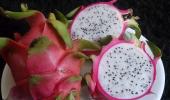 Gujarat govt renames Dragon Fruit as 'Kamalam'