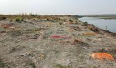 Corpses in Ganga: Cremations after dogs maul bodies