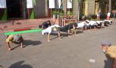 SEE: Navy chief performs push-ups with NDA cadets