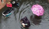 Snakes to people, TN floods keep rescuers busy