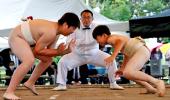 Seen Young Sumo Wrestlers Wrestle?