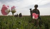 How the US Lost the Opium War in Afghanistan