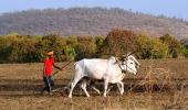 'Farmers are not enjoying any freedom'