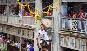 PIX: Dahi Handi celebrated after 2 yrs; 111 injured