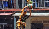 Should Dahi Handi Be An Adventure Sport?