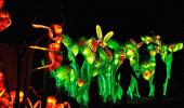 Giant Bugs Light Up Belgium Zoo