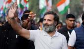 Rahul to contest 2024 LS poll from Amethi: Cong leader