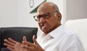 Pawar defends Adani over Hindenburg row; Cong says...