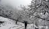 Srinagar Wrapped In Snow