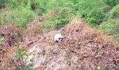 Skull, bones of foetuses discovered in Wardha hospital