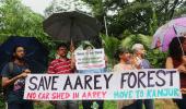 HC grills BMC on cutting 177 more trees at Aarey