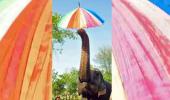 Yeh Hai India: What's An Elephant Doing With Umbrella?