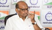 MVA should fight assembly, LS polls together: Pawar