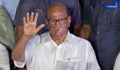 Thackeray govt will win trust vote: Sharad Pawar