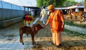 Yogi, the saffron-clad monk who will be UP CM again