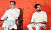 Aaditya Thackeray only Sena minister now who's MLA