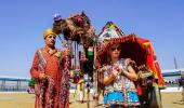 Yeh Hai India: The Pushkar Camel Fair