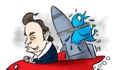 Musk, The Blue Tick, Twitter's Future