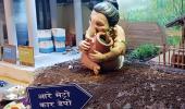 Save Aarey, Says Lord Ganesha