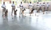 This 'Super Sniffer' squad to protect India's cheetahs