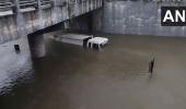 SEE: Container truck goes under as Chennai is flooded