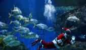 What's Santa Doing Under Water?