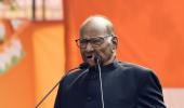 Asked about INDIA face, Pawar reminds of 1977 polls