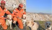 Romeo and Julie, NDRF's heroes behind Turkey rescue