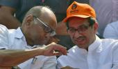 Pawar advises Uddhav to accept EC decision